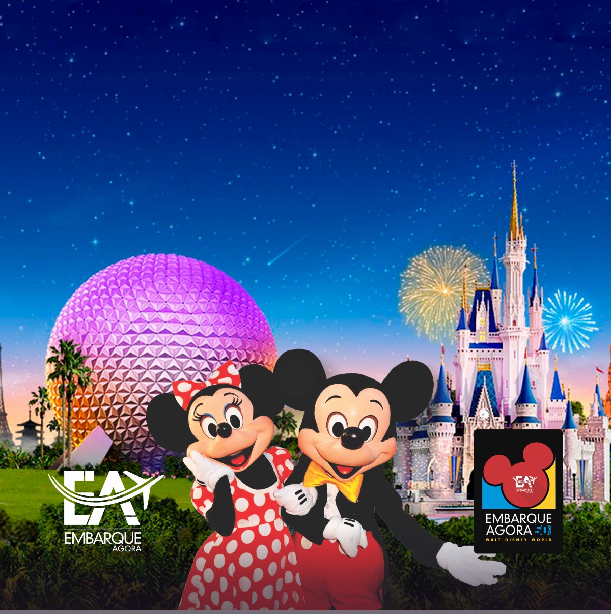 Disney 50 anos