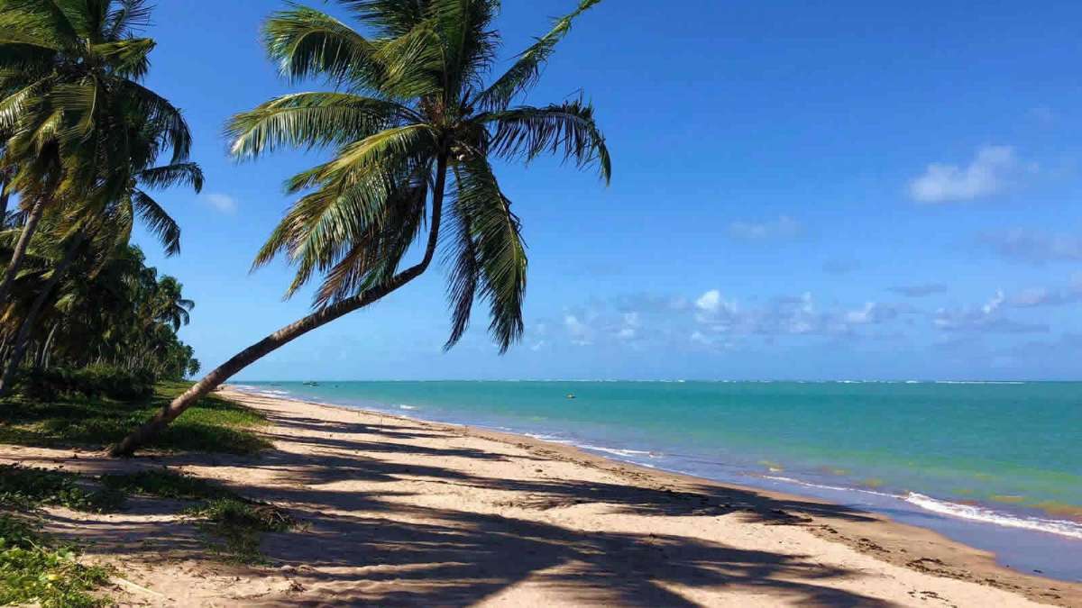 UM PARAÍSO ESCONDIDO NA COSTA DOS CORAIS!