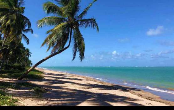 UM PARAÍSO ESCONDIDO NA COSTA DOS CORAIS!