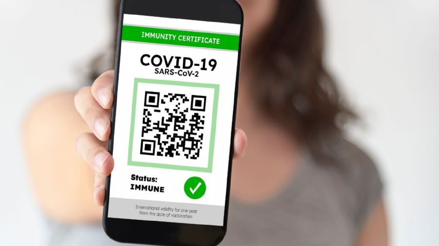 Como emitir o certificado de vacinação contra Covid-19 no Brasil passo a passo